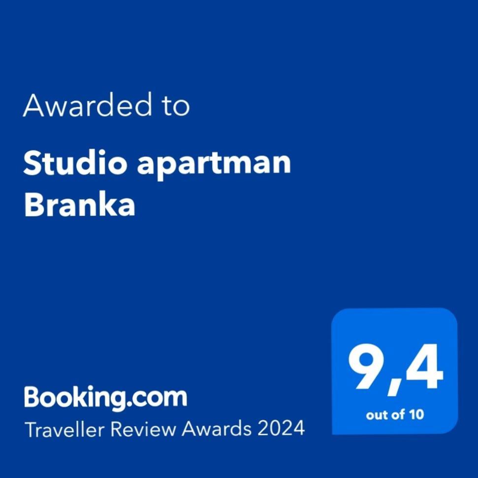 Studio Apartman Branka ลาบิน ภายนอก รูปภาพ